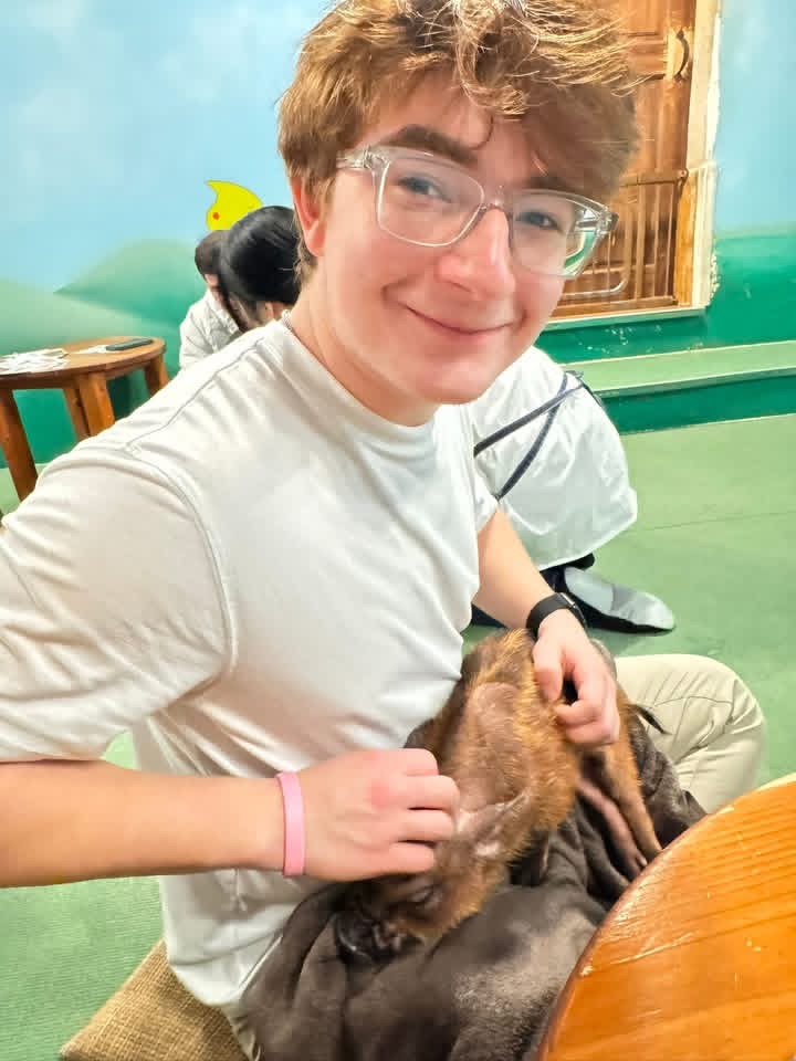 Holden with one pig