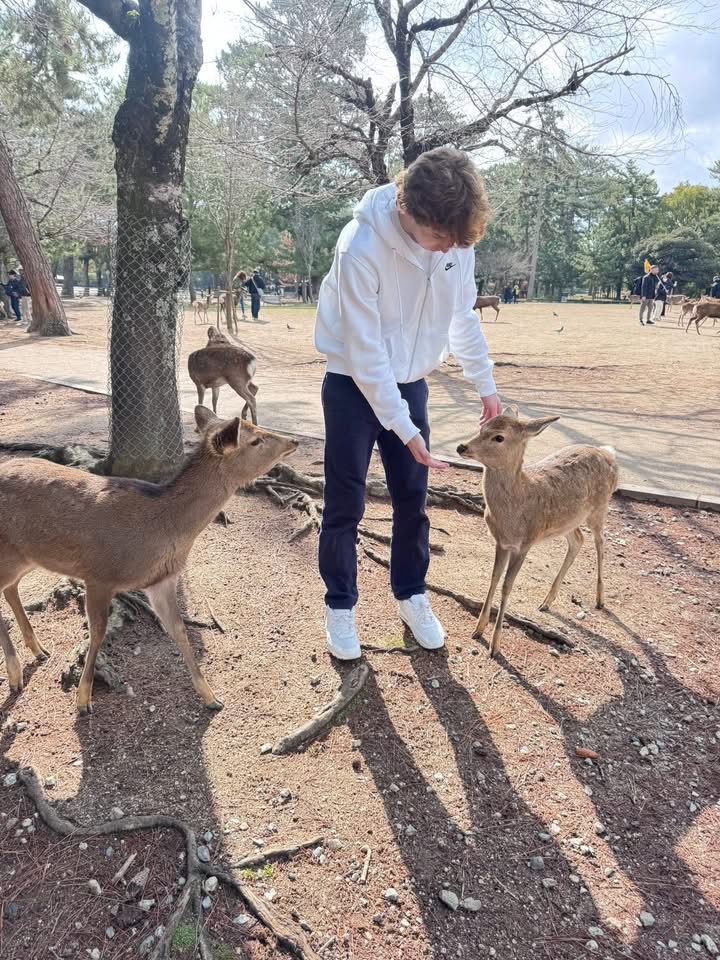 Boy with two deer