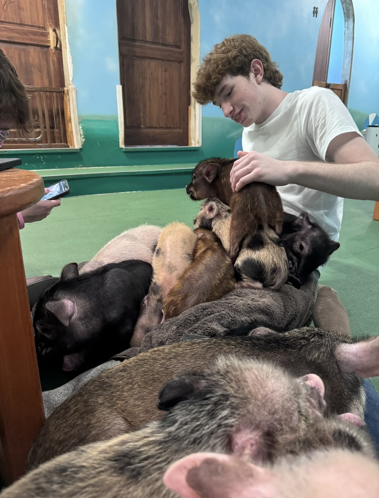 Full pig avalanche