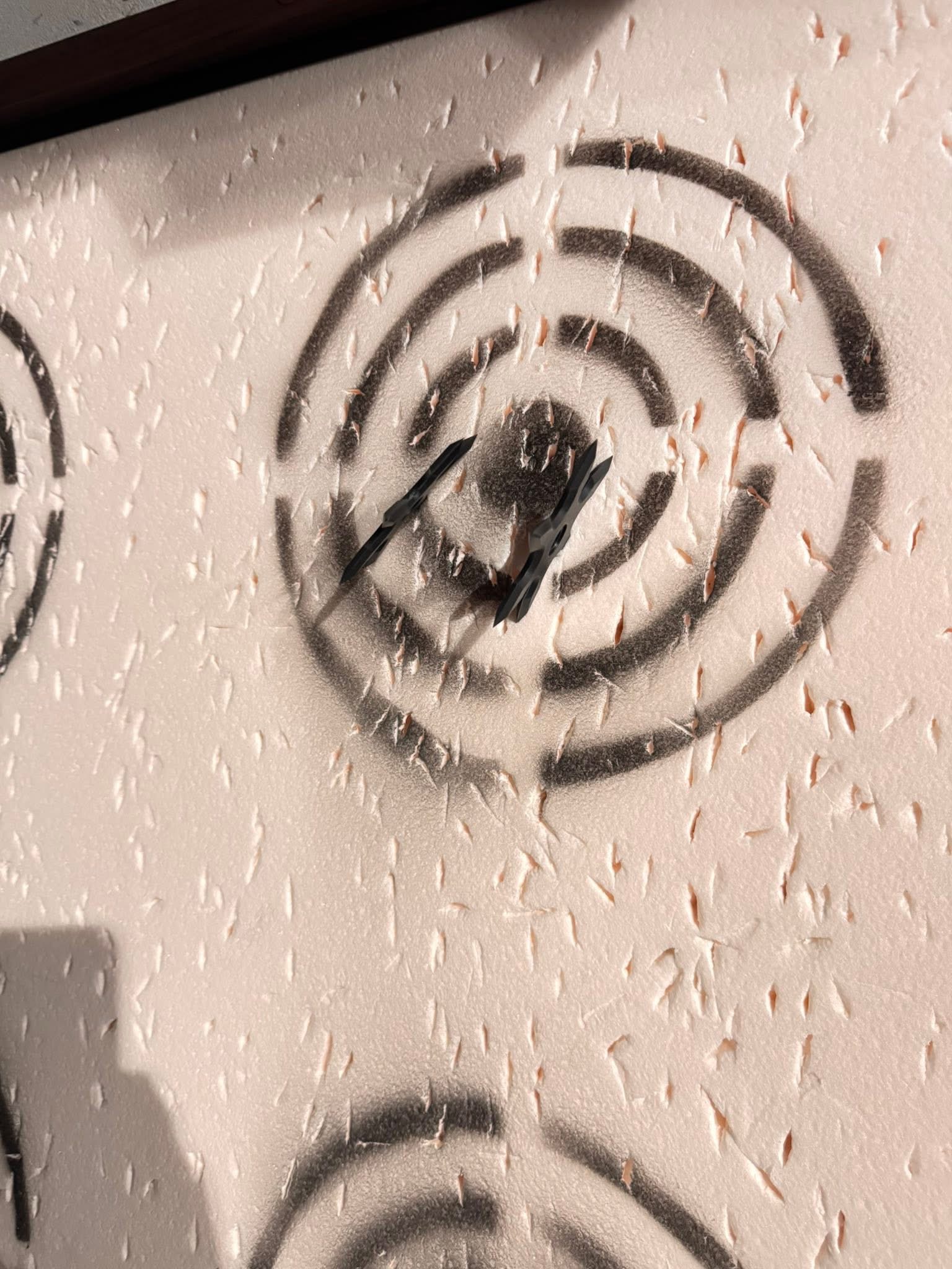Ninja star throwing