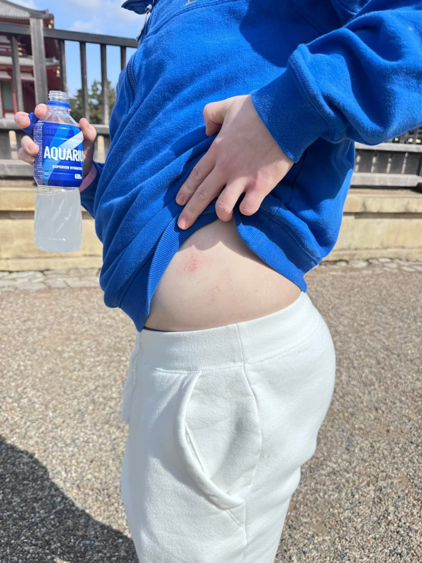 Holden showing deer bite mark