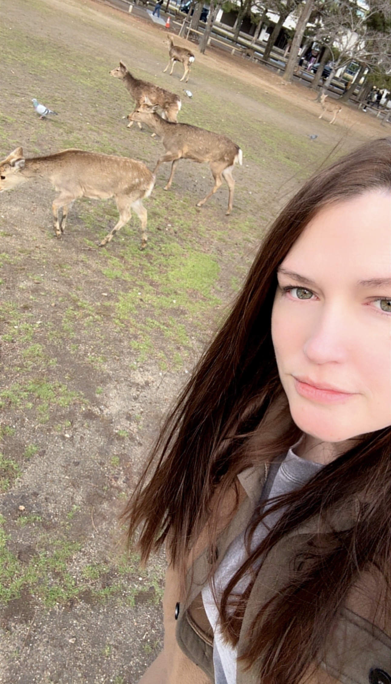 Mom selfie at Nara Park with deer